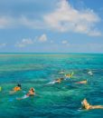 Snorkeling Key West