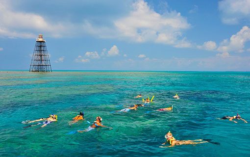 Snorkeling Key West