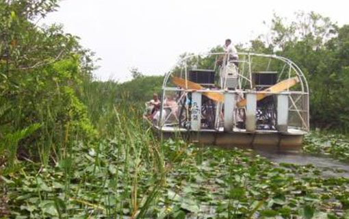 tours-everglades-miami