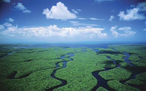 tours-everglades-miami