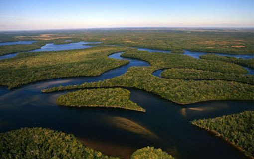 tours-everglades-miami