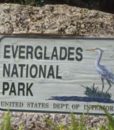 tours-everglades-miami