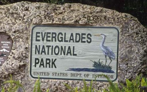 tours-everglades-miami