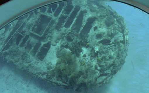 Key West Glass Bottom Boat