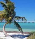 tour-to-key-west-one-day