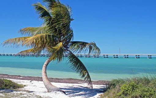 tour-to-key-west-one-day