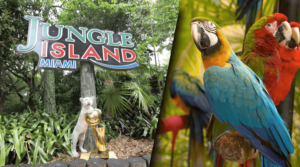 Miami, Orlando, key west Tours